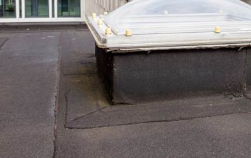 disadvantages of The Flourish flat roofs